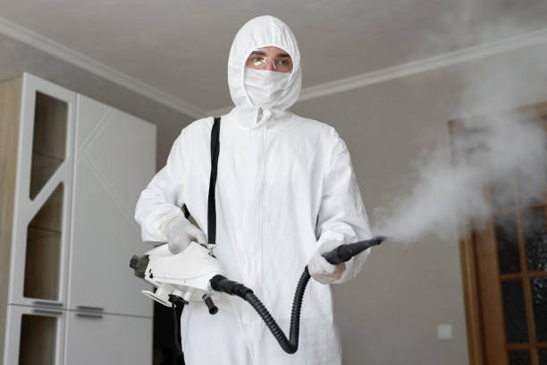 Biohazard Mold Removal in Black Point Green Point, CA